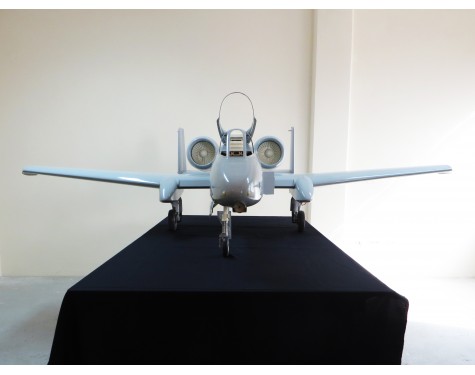 A-10 Warthog, Scale 1:5,8 Gen. 5,5
