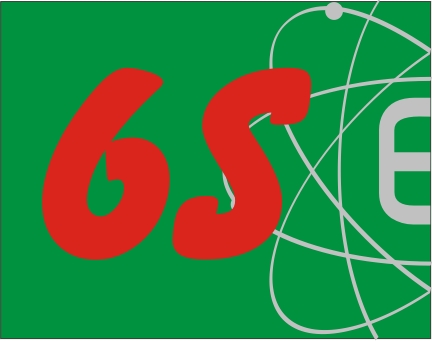 6S