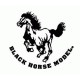 Black Horse model